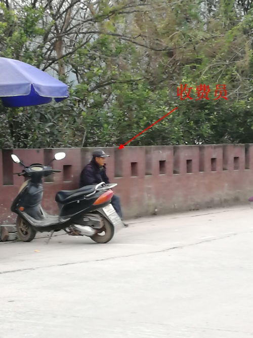 仁寿到黑龙滩汽车多少钱