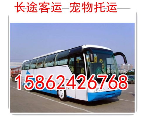 镇安汽车到汉中多少钱