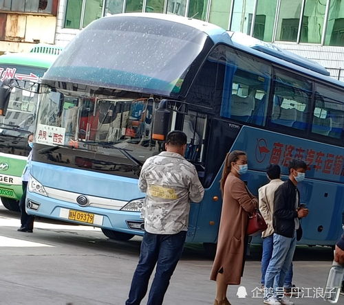 丹凤汽车站电话多少
