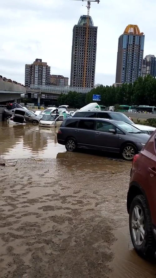 郑州大概有多少泡水汽车