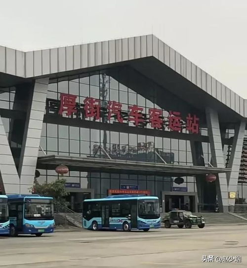 东莞汽车站有多少个