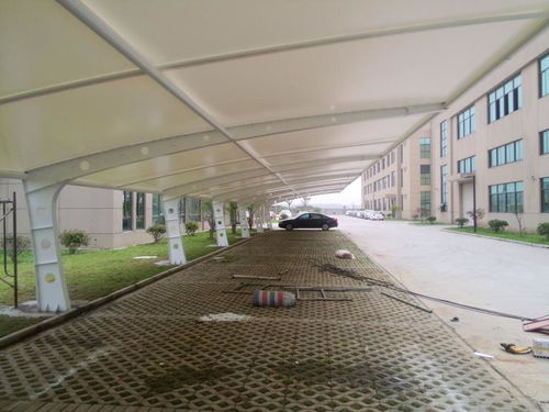 福建汽车车棚收费多少