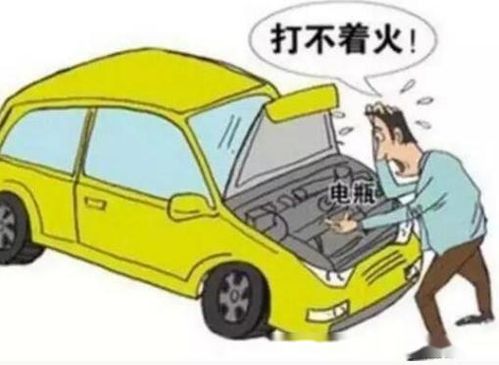 冬天多少天启动一次汽车
