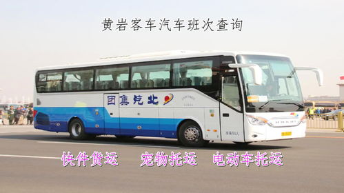 巢湖汽车流量多少