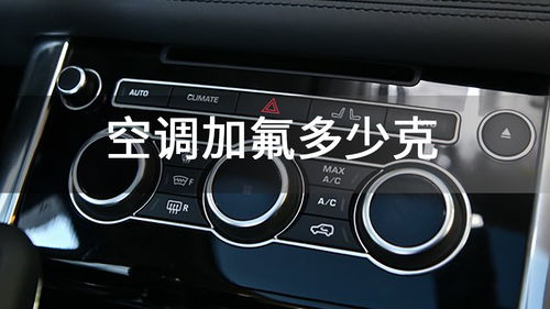 汽车加氟加多少克