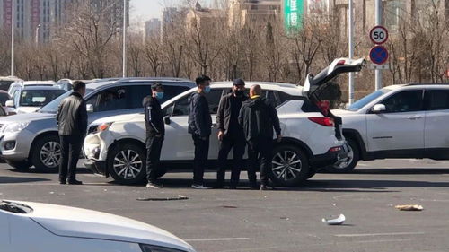 汽车不出险保险优惠多少