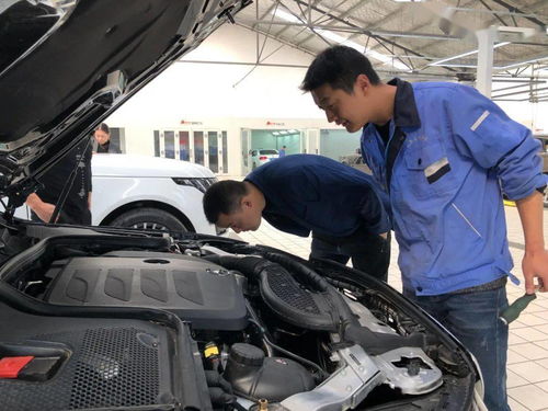 宜昌汽车环保标准是多少