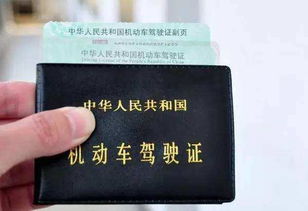 汽车技师证多少钱