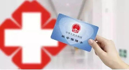 小汽车保险标志多少钱