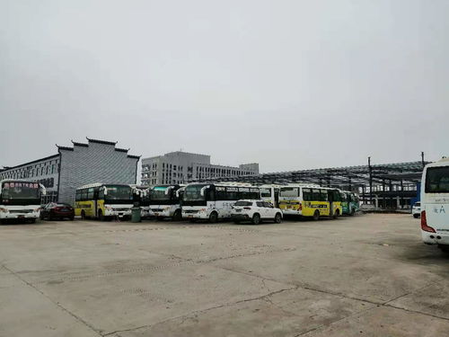 包河区报废汽车电话多少