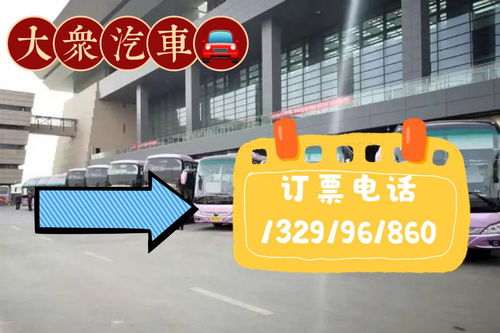 沈丘至洛阳汽车票多少