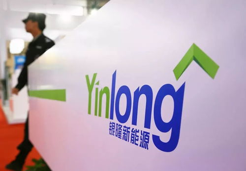 董明珠汽车补贴多少钱