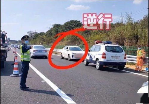 鸡西到桦南汽车多少公里