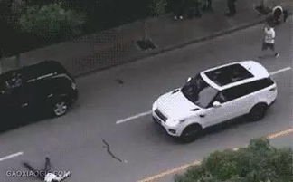 故意被汽车撞死赔多少天