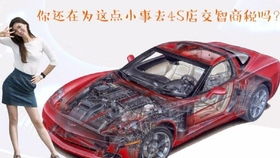 小汽车落户需要多少钱