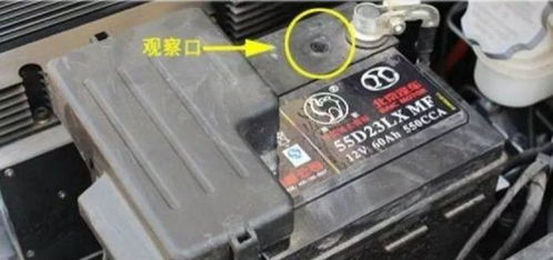 汽车蓄电池编号为多少号