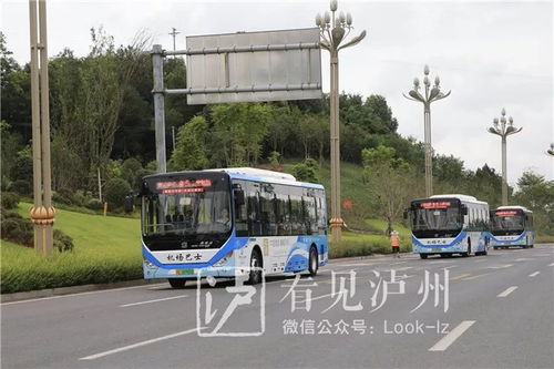 邵东至泸州汽车多少钱