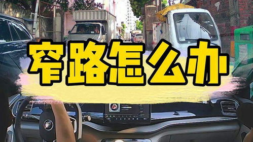 汽车陪练上门接送多少钱