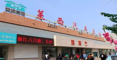莱西到胶州汽车多少钱