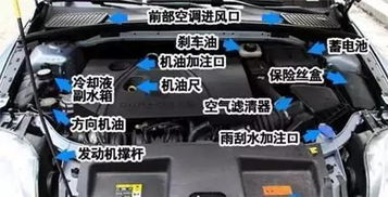 怎么查汽车的机油多少钱
