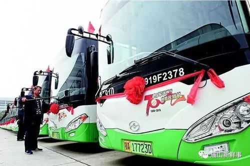 新宁有多少台电动汽车