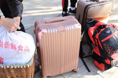 汽车能装多少行李箱里