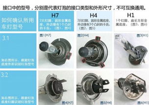 汽车h1灯泡尺寸是多少