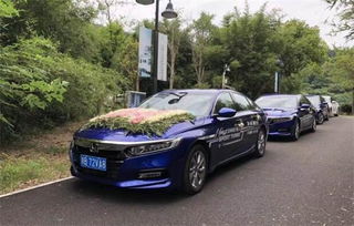 做汽车销售需要多少文化