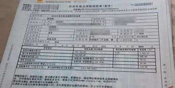 汽车只交三险多少钱