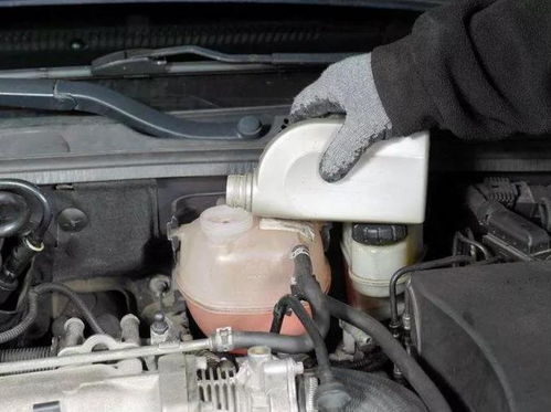 6升油能开多少公里汽车