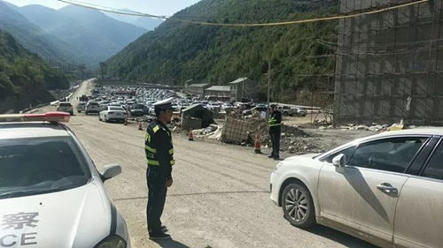 宕昌到通渭多少钱汽车