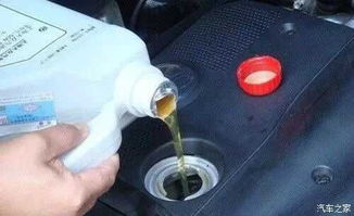 汽车油杯油位多少合适