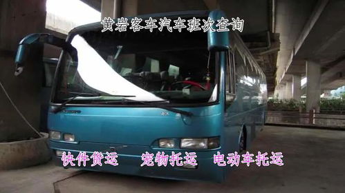 太和到亳州汽车多少钱