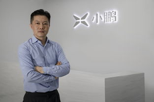 小鹏汽车副总裁薪酬多少