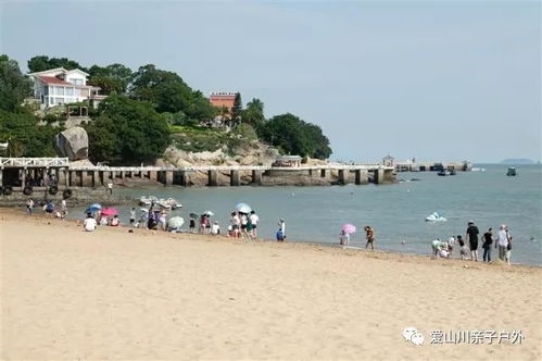 鼓浪屿汽车轮渡多少钱