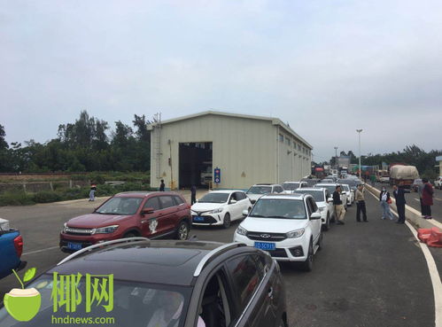 汽车过海南轮渡多少钱