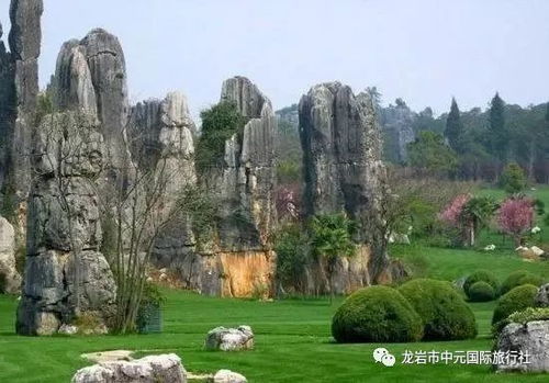 石林至成都汽车票价多少