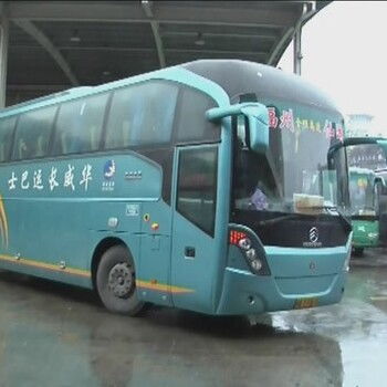 招远到潍坊汽车票价多少