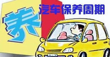 汽车保养需要多少钱的
