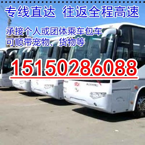 株洲汽车检查多少钱