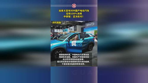 国产电动汽车关税多少钱