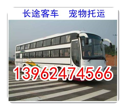 周口到太康汽车多少钱