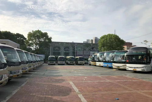 从阳高到阳谷多少钱汽车