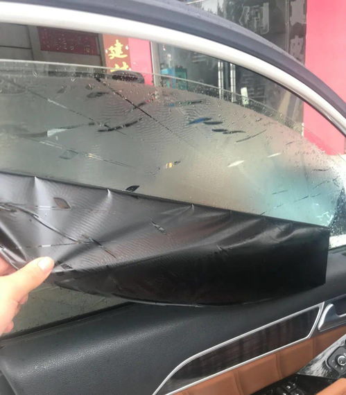 河北汽车填充胶价格多少