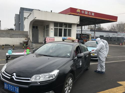 漯河到青岛汽车多少钱