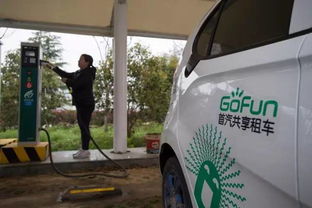 大武汉共享汽车有多少辆
