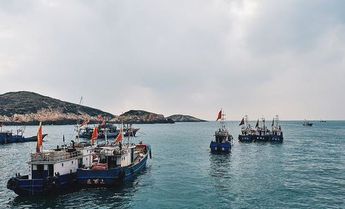 宁海到石浦汽车电话多少