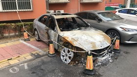 汽车自燃鉴定多少钱