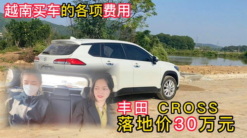 在越南买汽车多少钱