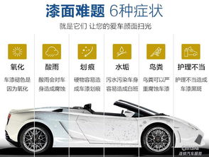 汽车镀金要多少钱